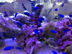 お魚天国！