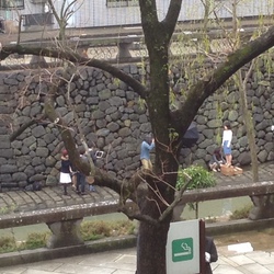人気