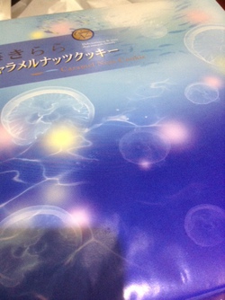 海きらら