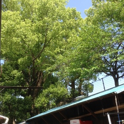 散歩