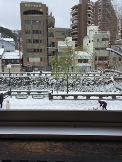 雪やこんこん