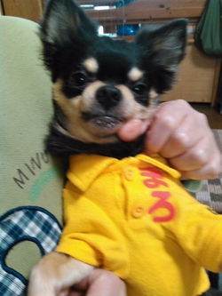 子供