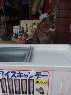 店番