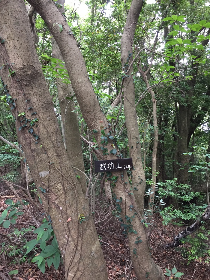 烽火山〜武功山